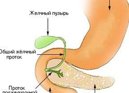 Бульбит желудка: что это такое, симптомы и лечение. Лечение народными средствами