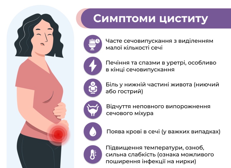 Цистит у женщин: причины, симптомы и лечение. Как не допустить осложнений?
